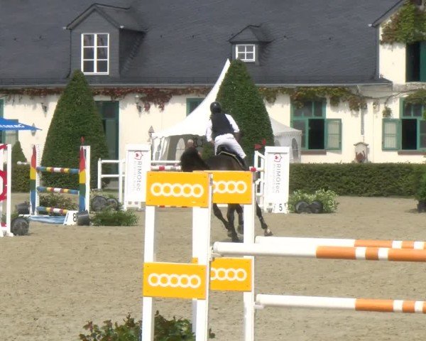 Reitturnier St.Wendel, Gestüt Welvert 2024