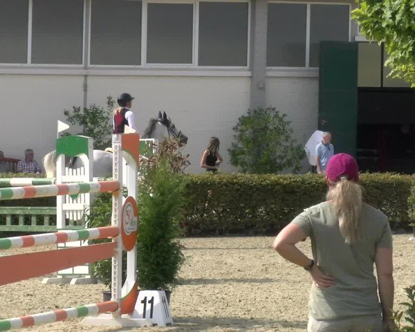 Reitturnier St.Wendel, Gestüt Welvert 2024