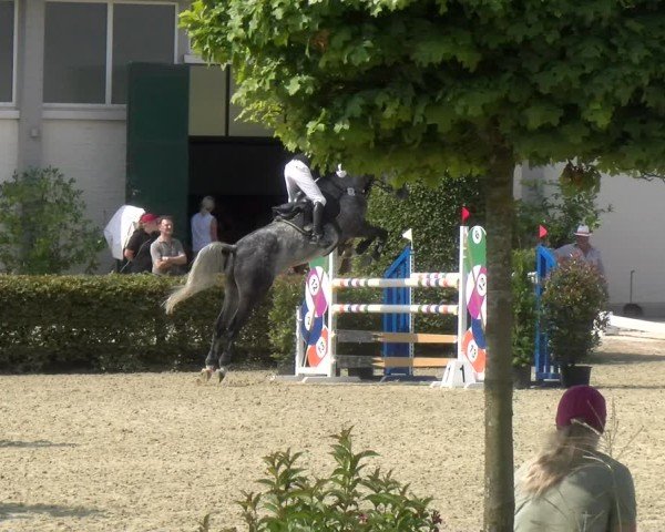 Reitturnier St.Wendel, Gestüt Welvert 2024