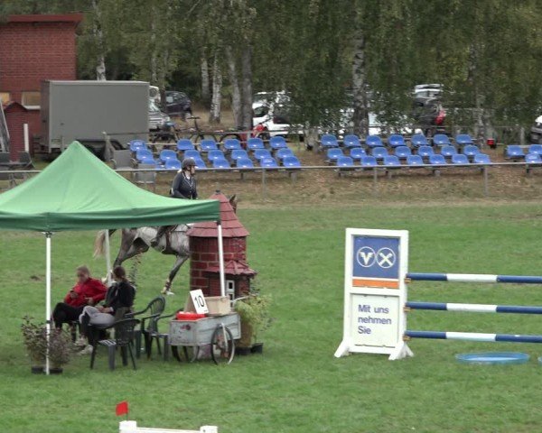 Reitturnier Dannenberg 2024