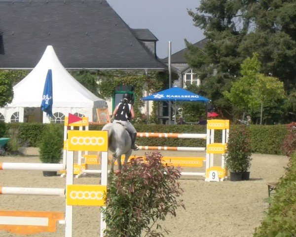 Reitturnier St.Wendel, Gestüt Welvert 2024