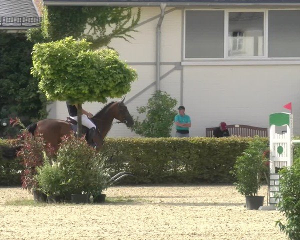 Reitturnier St.Wendel, Gestüt Welvert 2024