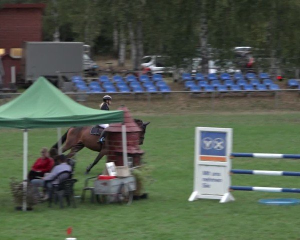 Reitturnier Dannenberg 2024