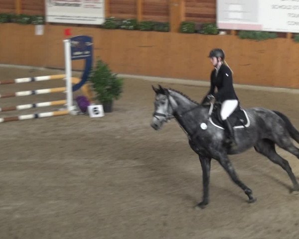 Springturnier Xanten - Reitanlage Miss 2021