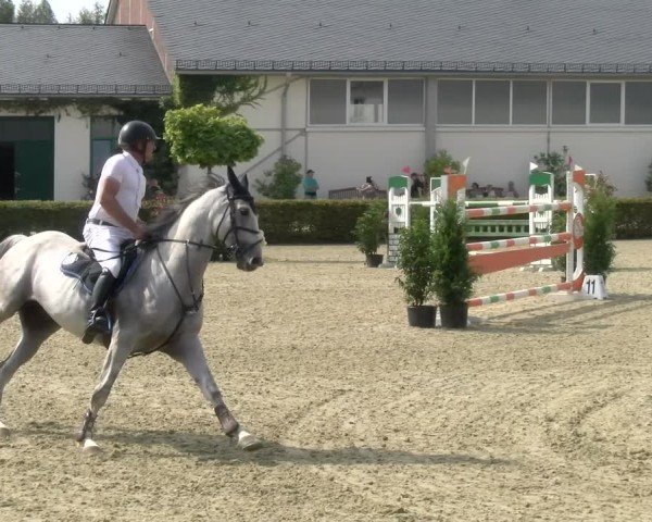 Reitturnier St.Wendel, Gestüt Welvert 2024