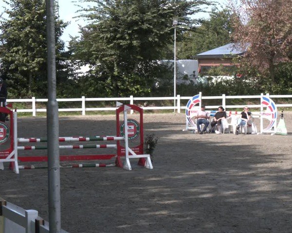 Reitturnier Springturnier Mildstedt 2024