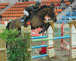 jumper B Bommel (KWPN (Royal Dutch Sporthorse), 2006, from Oliver)