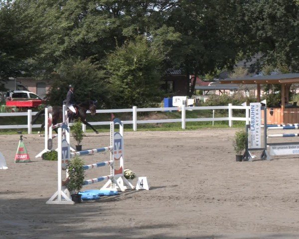 Reitturnier Springturnier Mildstedt 2024