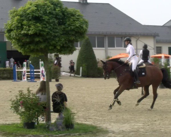 Reitturnier St.Wendel, Gestüt Welvert 2024