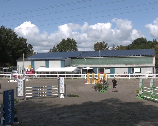 Reitturnier Springturnier Mildstedt 2024