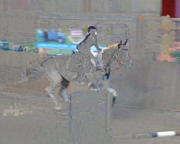 Springturnier Xanten - Reitanlage Miss 2021