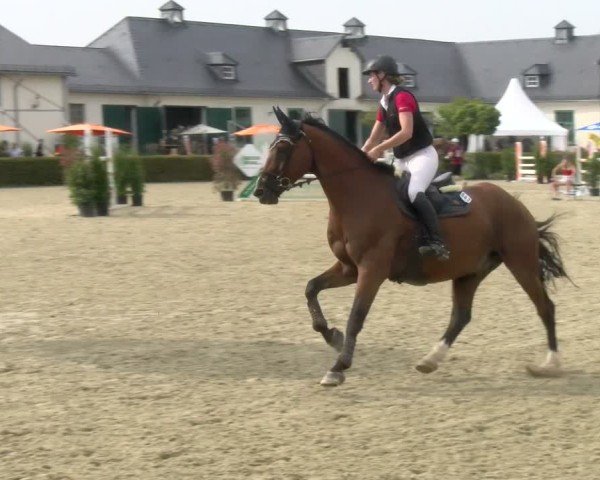 Reitturnier St.Wendel, Gestüt Welvert 2024