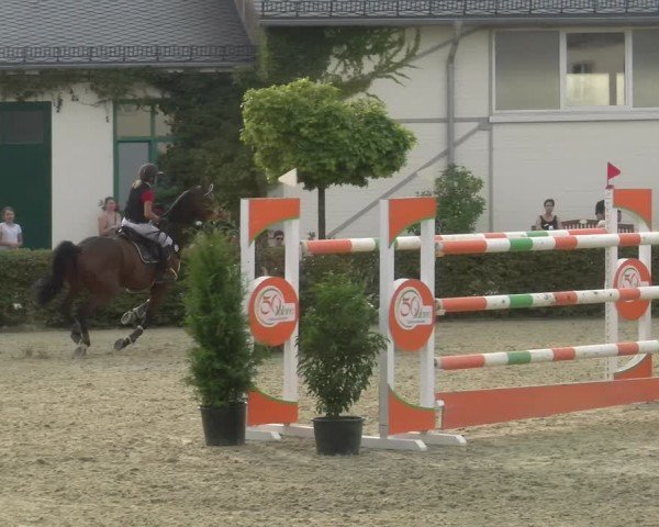 Reitturnier St.Wendel, Gestüt Welvert 2024