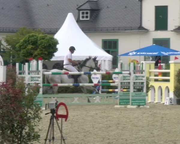 Reitturnier St.Wendel, Gestüt Welvert 2024