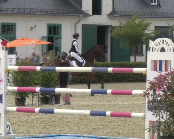 Reitturnier St.Wendel, Gestüt Welvert 2024