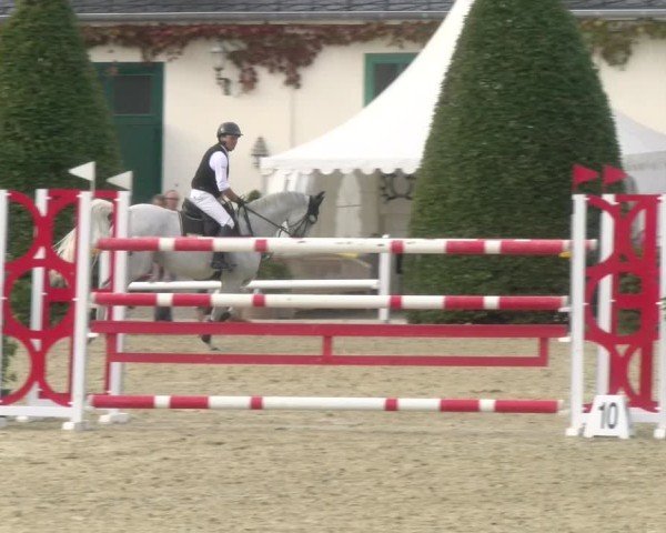 Reitturnier St.Wendel, Gestüt Welvert 2024