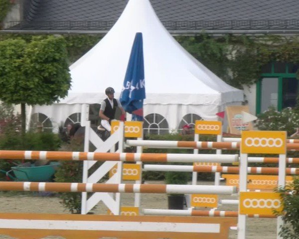 Reitturnier St.Wendel, Gestüt Welvert 2024