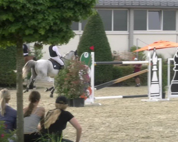 Reitturnier St.Wendel, Gestüt Welvert 2024