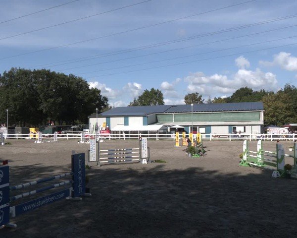 Reitturnier Springturnier Mildstedt 2024