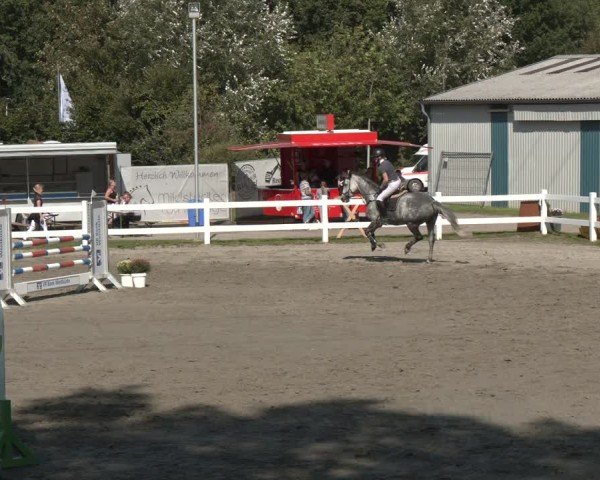 Reitturnier Springturnier Mildstedt 2024