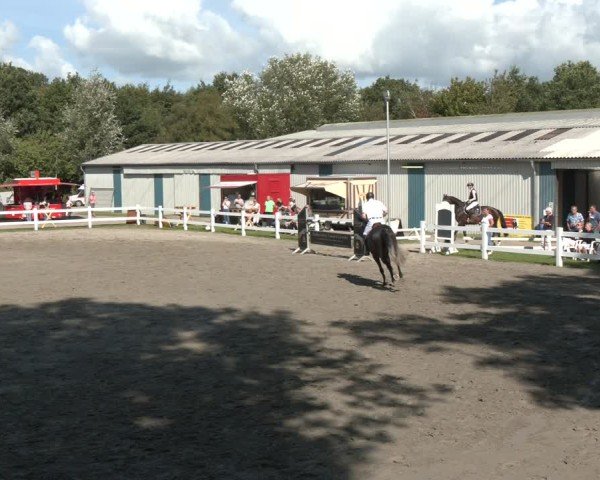 Reitturnier Springturnier Mildstedt 2024