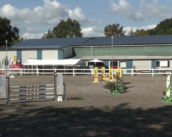 Reitturnier Springturnier Mildstedt 2024