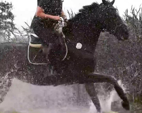 Video of Black Pearl 126