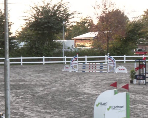 Reitturnier Springturnier Mildstedt 2024