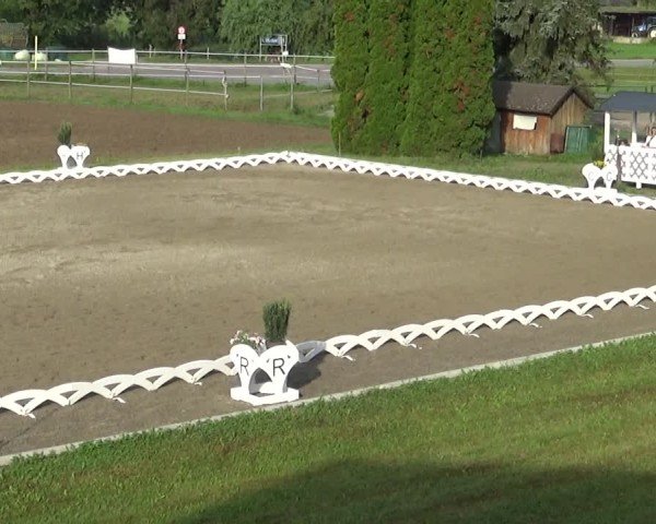 Reitturnier Dornbirn 2024