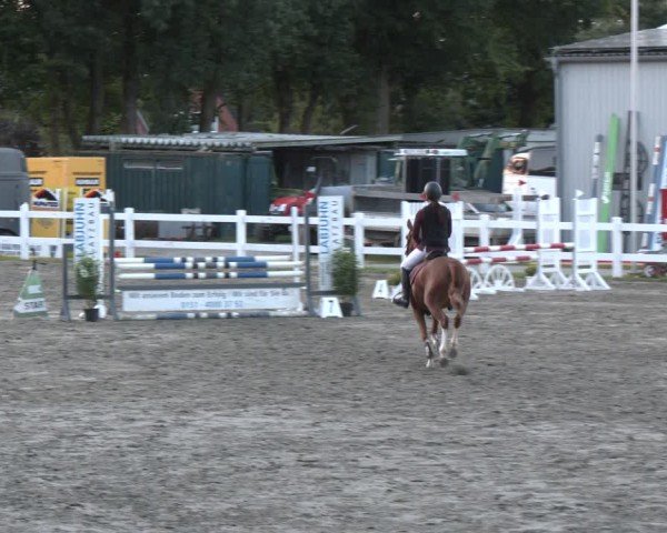 Reitturnier Springturnier Mildstedt 2024
