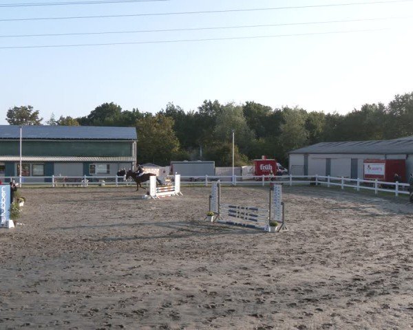 Reitturnier Springturnier Mildstedt 2024