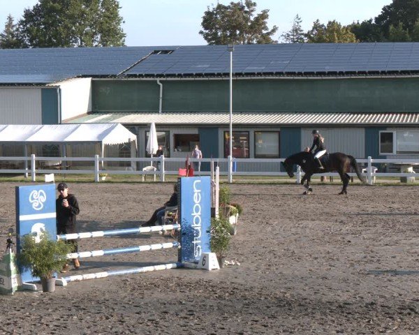 Reitturnier Springturnier Mildstedt 2024