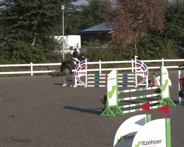 Reitturnier Springturnier Mildstedt 2024