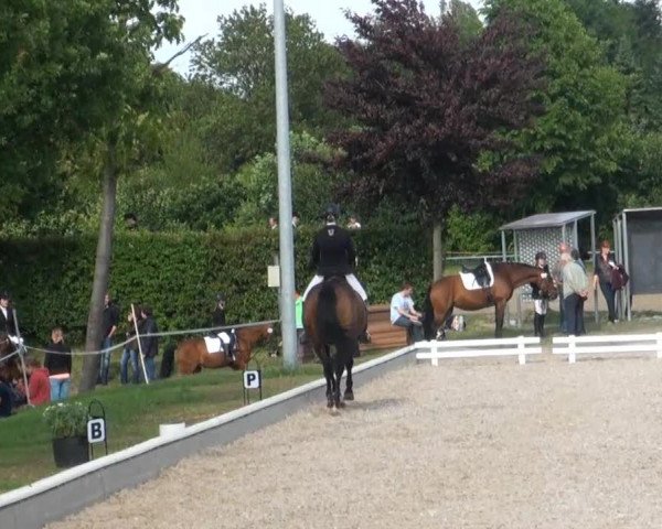 Fröndenberg 2013