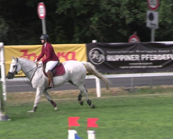 Reitturnier Müncheberg 2024