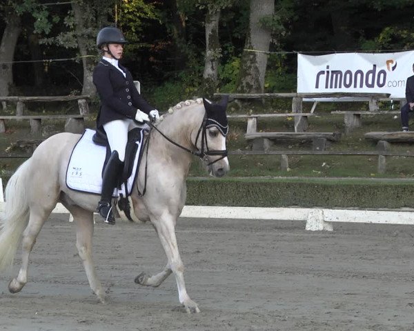 Reitturnier Neu-Anspach / Wintermühle 2021