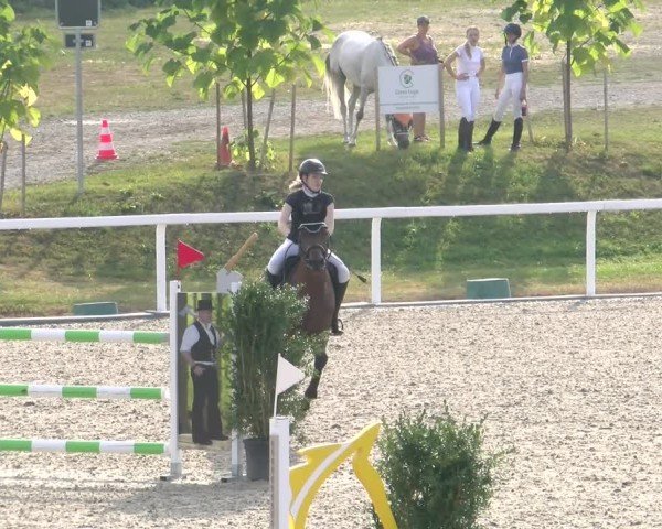 Reitturnier Bülach 2024