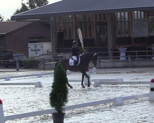 Reitturnier Ennigerloh-Neubeckum 2024