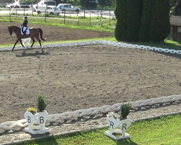 Reitturnier Dornbirn 2024