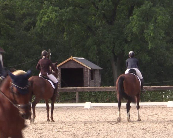 Reitturnier Müncheberg 2024