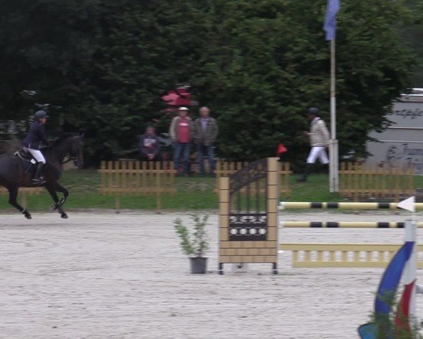Reitturnier Pietzpuhl 2024