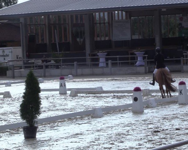 Reitturnier Ennigerloh-Neubeckum 2024