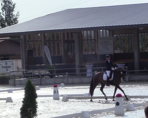 Reitturnier Ennigerloh-Neubeckum 2024