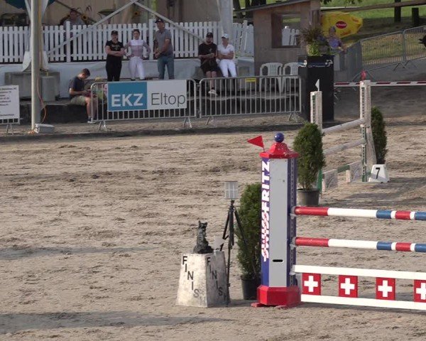 Reitturnier Humlikon 2024