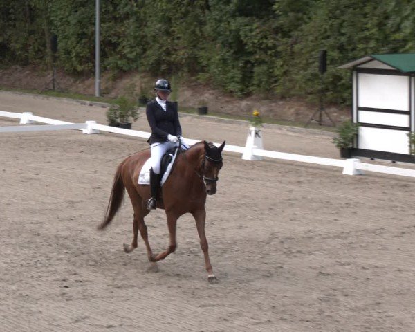 Reitturnier Köln-Flittard (Scheuerhof) 2024