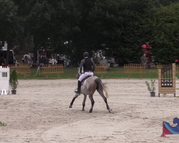 Reitturnier Pietzpuhl 2024