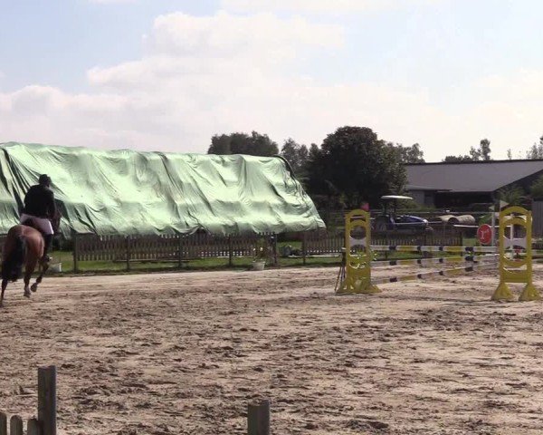 Reitturnier Breiholz "Am Moltkestein" 2024