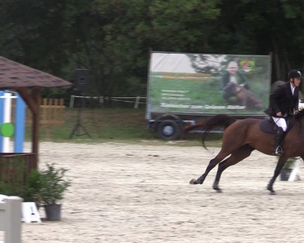 Reitturnier Pietzpuhl 2024