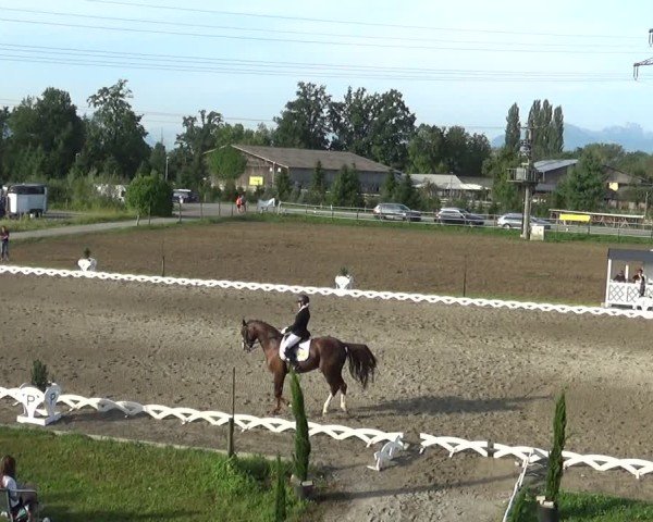 Reitturnier Dornbirn 2024