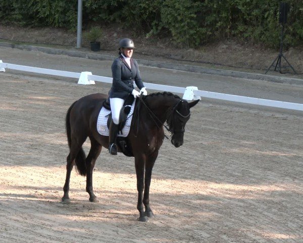 Reitturnier Köln-Flittard (Scheuerhof) 2024